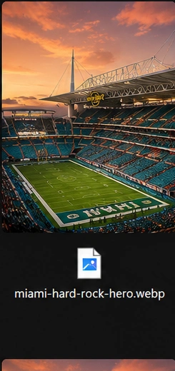 Stadium crowd FIFA World Cup 2026